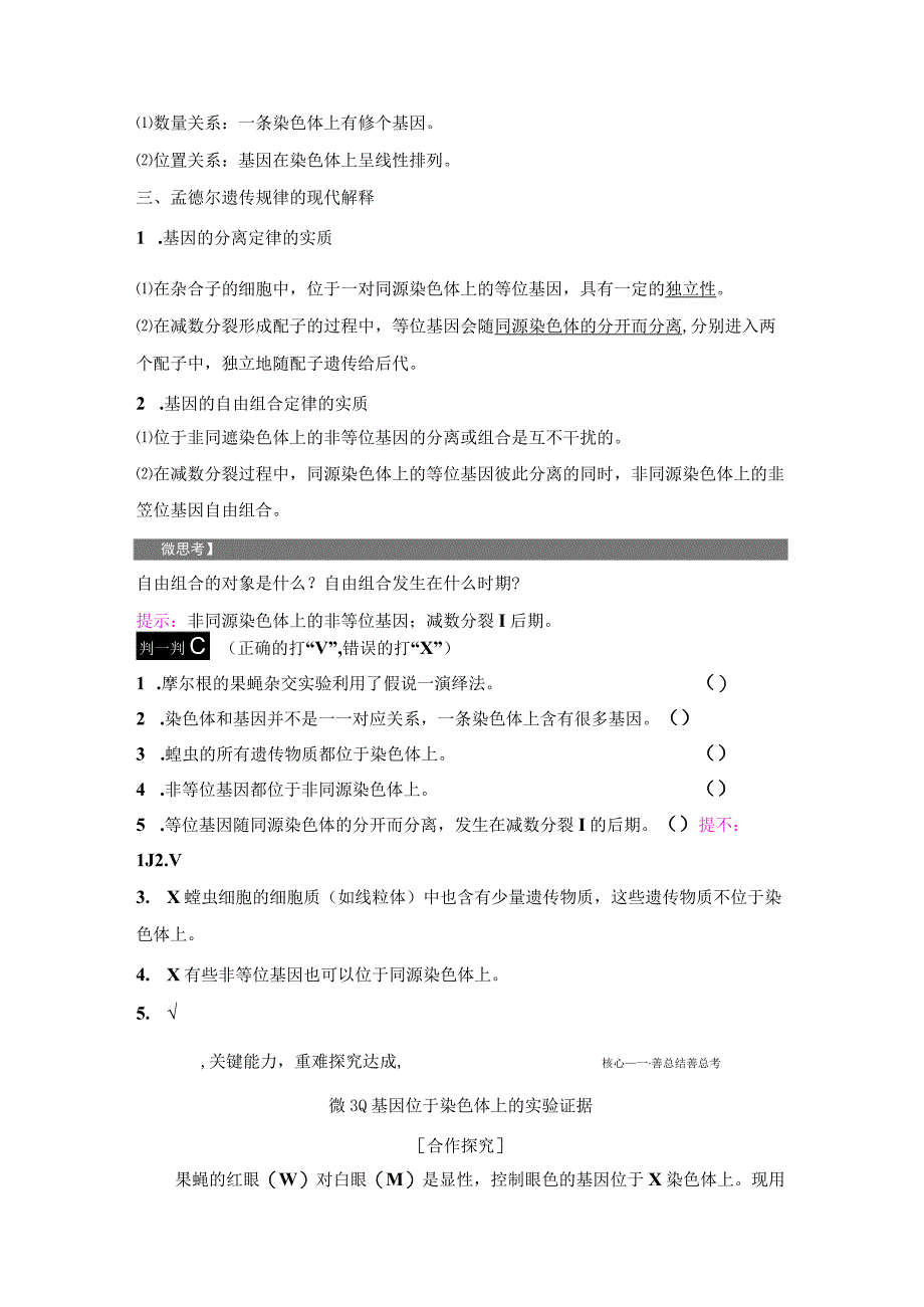 2023-2024学年 人教版 必修二 基因在染色体上 学案.docx_第3页