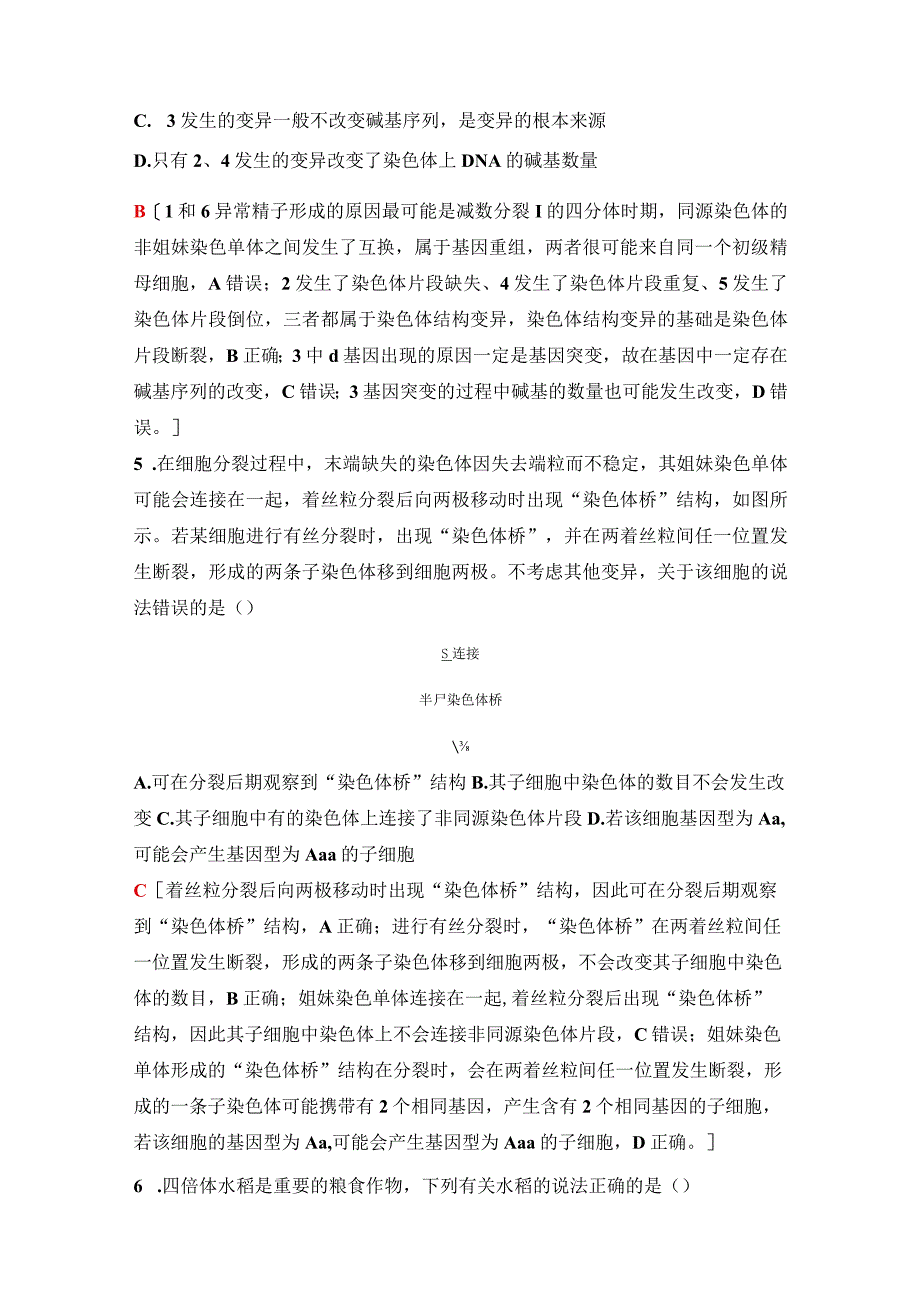 2023-2024学年 人教版 必修二 重点突破练(五) 可遗传变异的类型及其应用 作业.docx_第3页