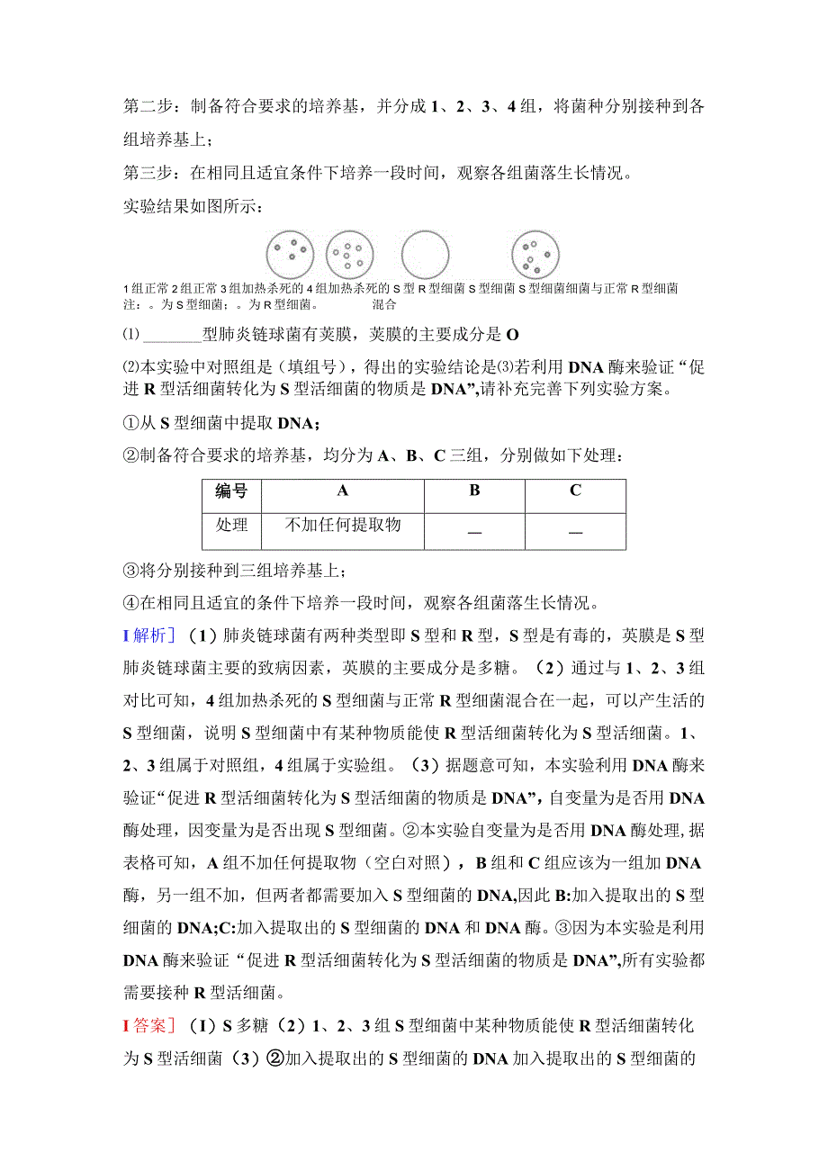 2023-2024学年 人教版 必修二 DNA是主要的遗传物质 作业.docx_第3页