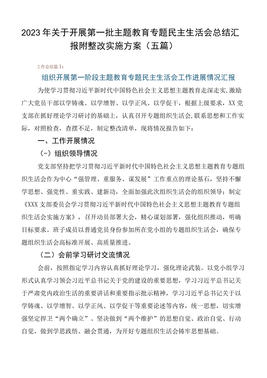 2023年关于开展第一批主题教育专题民主生活会总结汇报附整改实施方案（五篇）.docx_第1页