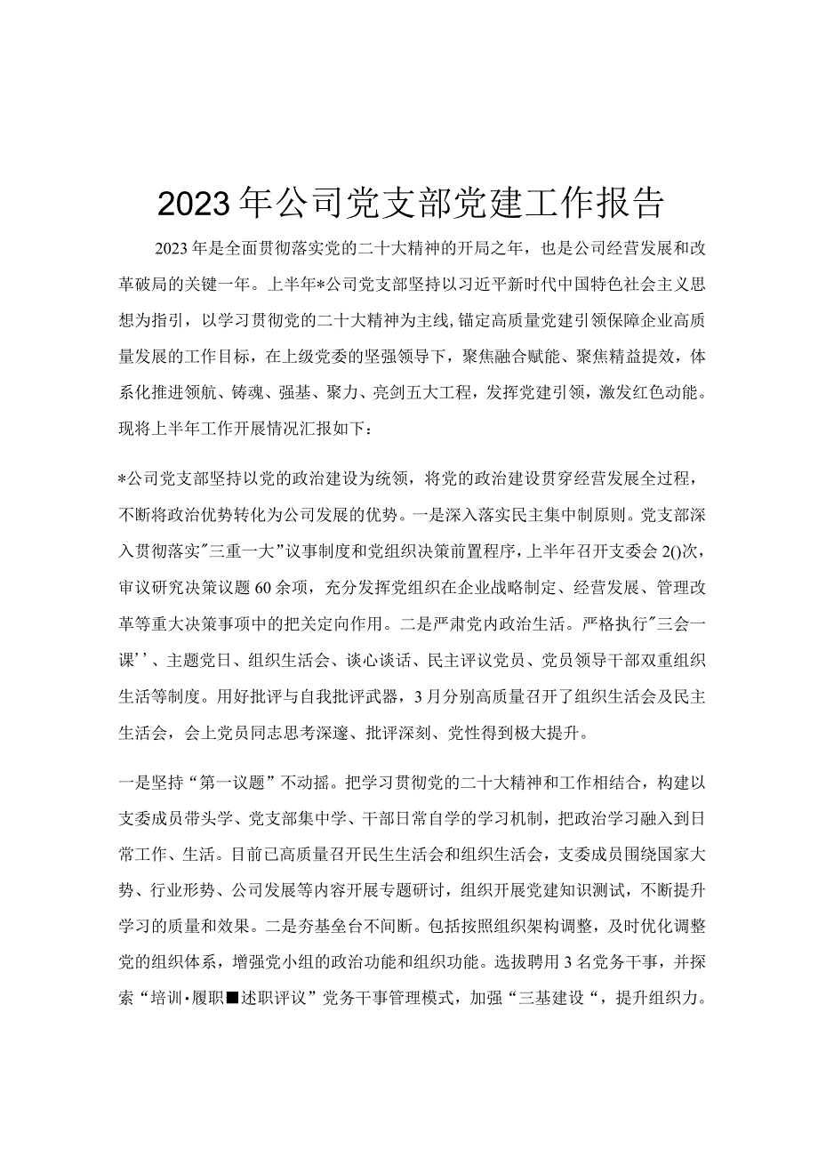 2023年公司党支部党建工作报告.docx_第1页