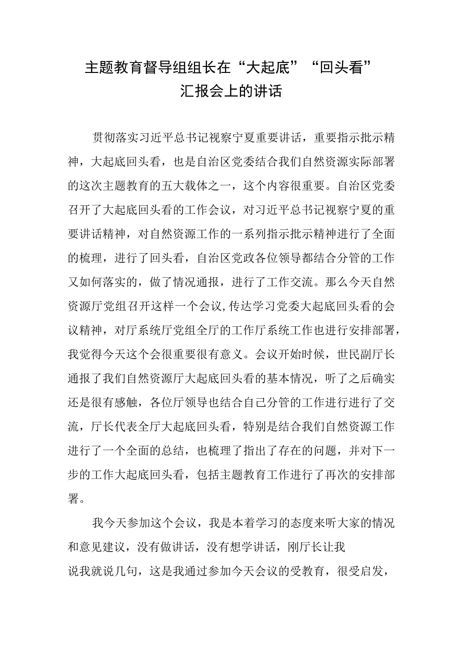 2023年主题教育督导组组长在“大起底”“回头看”汇报会上的讲话发言.docx_第1页