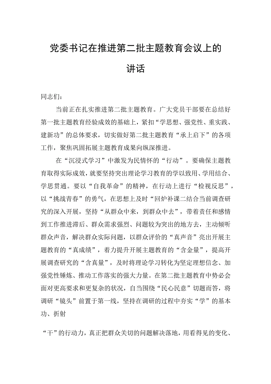 2023年党委书记在推进第二批主题′教育会议上的讲话.docx_第1页