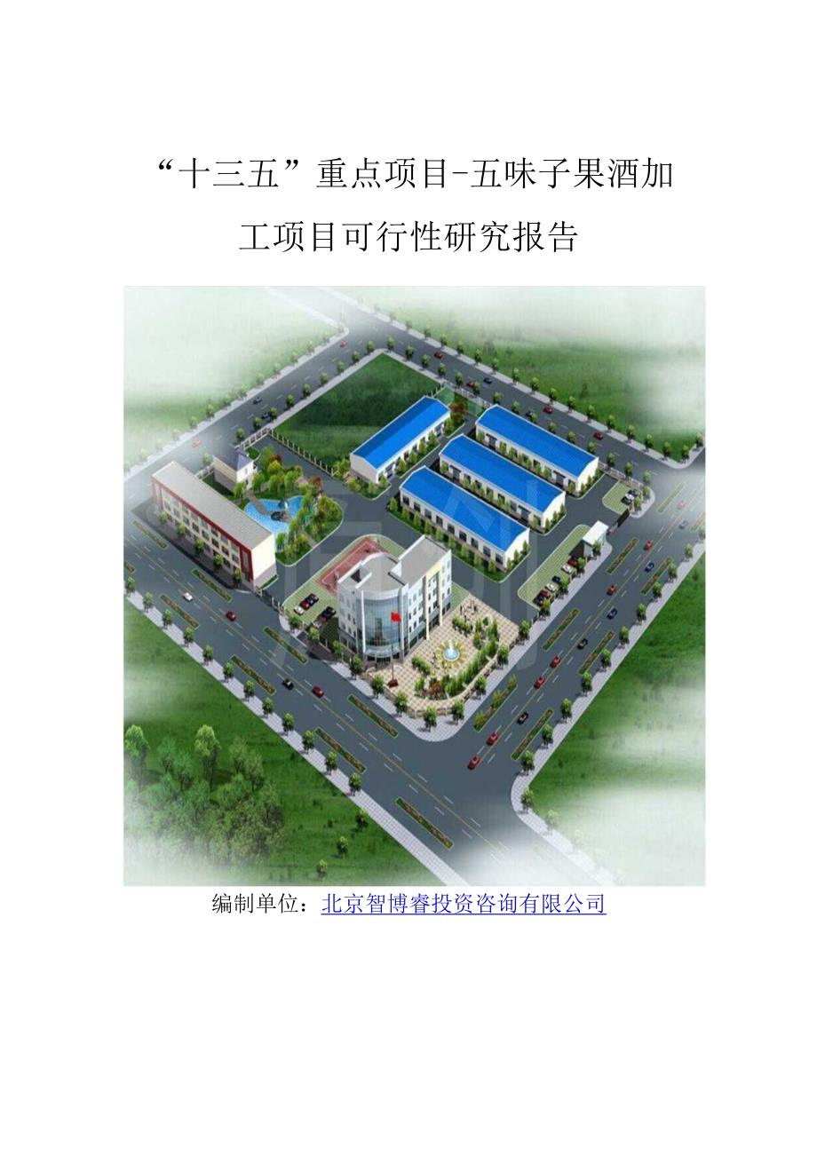 “十三五”重点项目五味子果酒加工项目可行性研究报告.docx_第1页