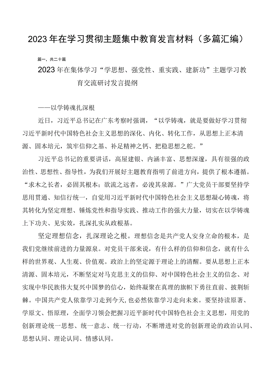 2023年在学习贯彻主题集中教育发言材料（多篇汇编）.docx_第1页