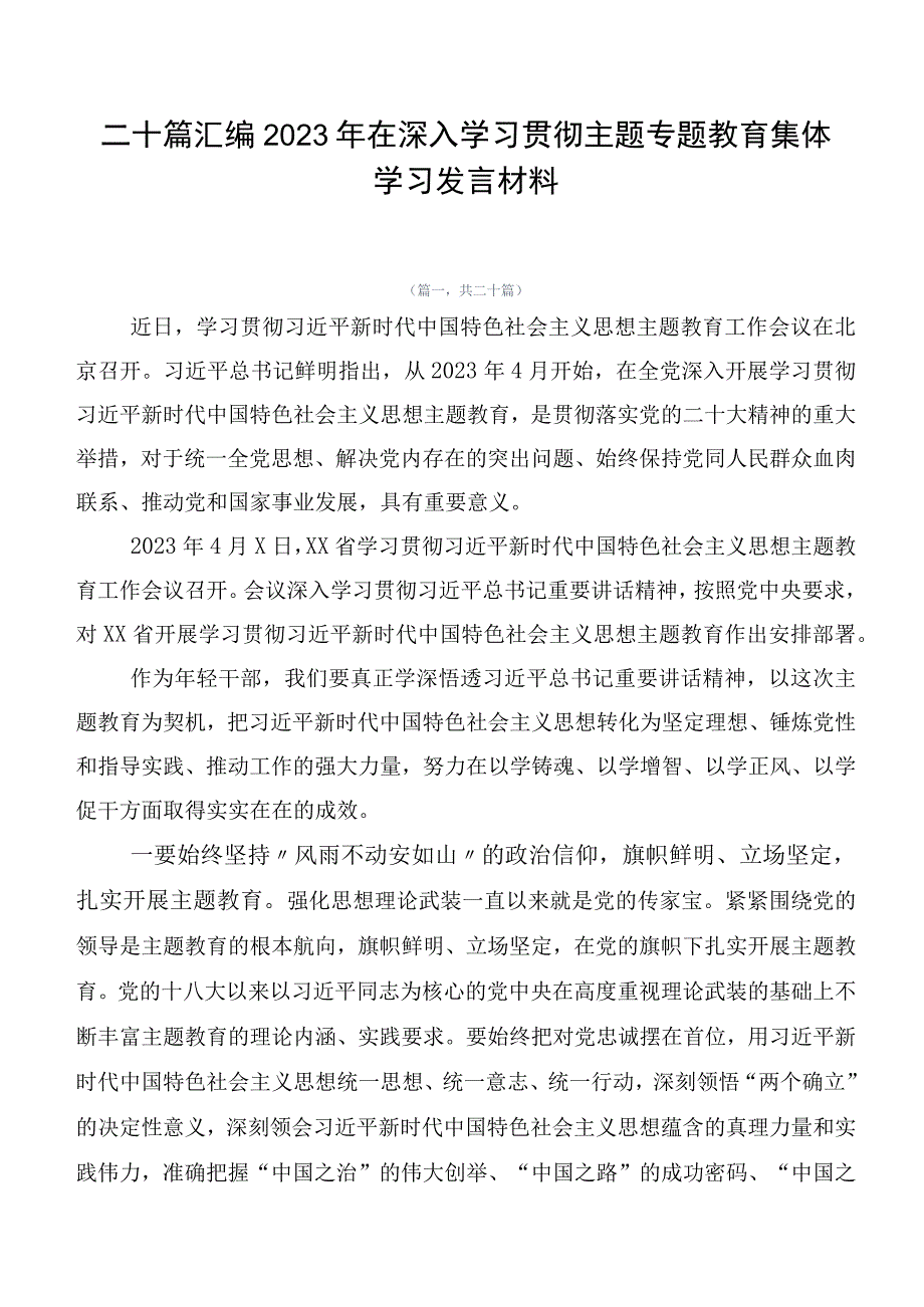 二十篇汇编2023年在深入学习贯彻主题专题教育集体学习发言材料.docx_第1页