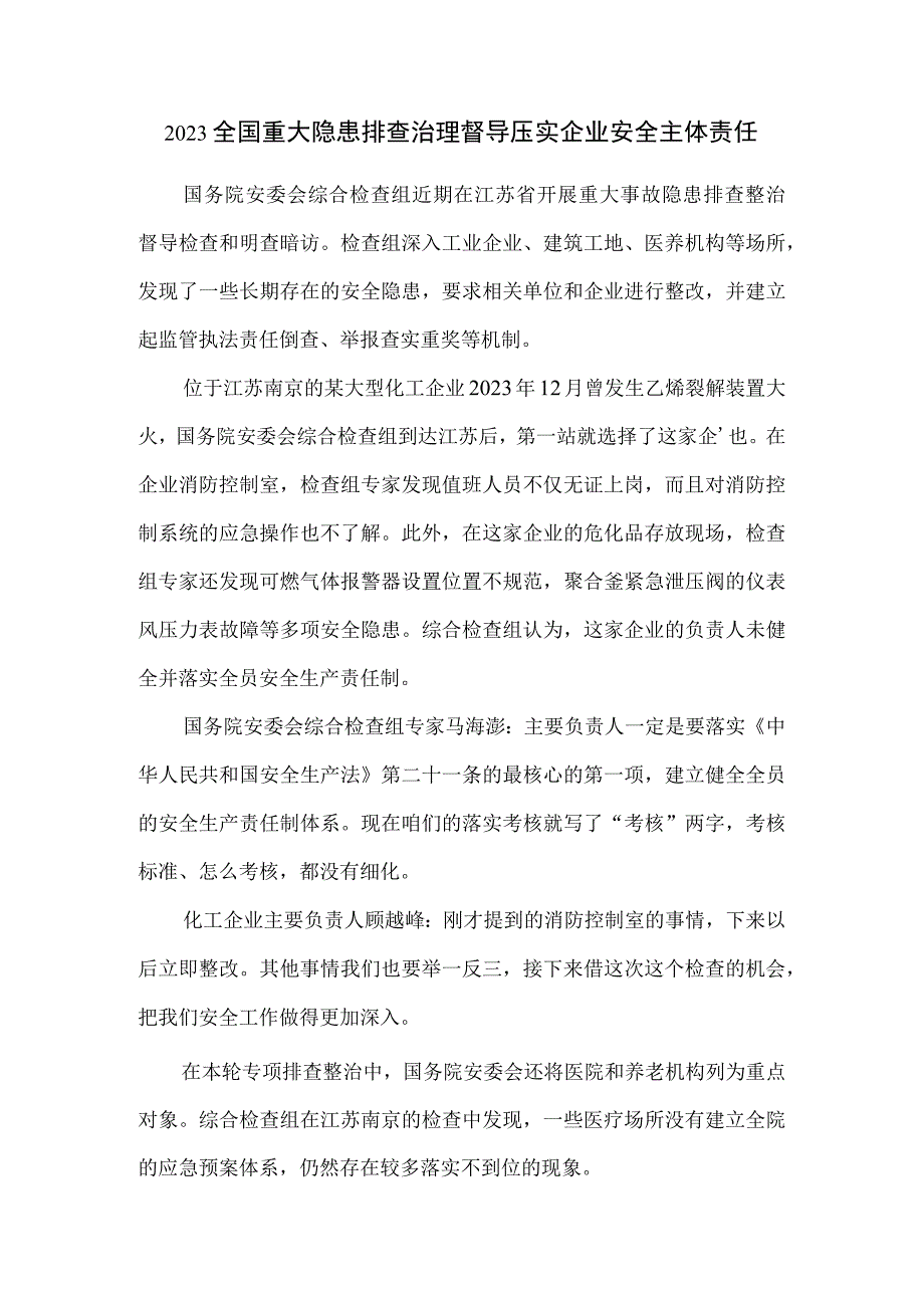 2023全国重大隐患排查治理督导 压实企业安全主体责任.docx_第1页