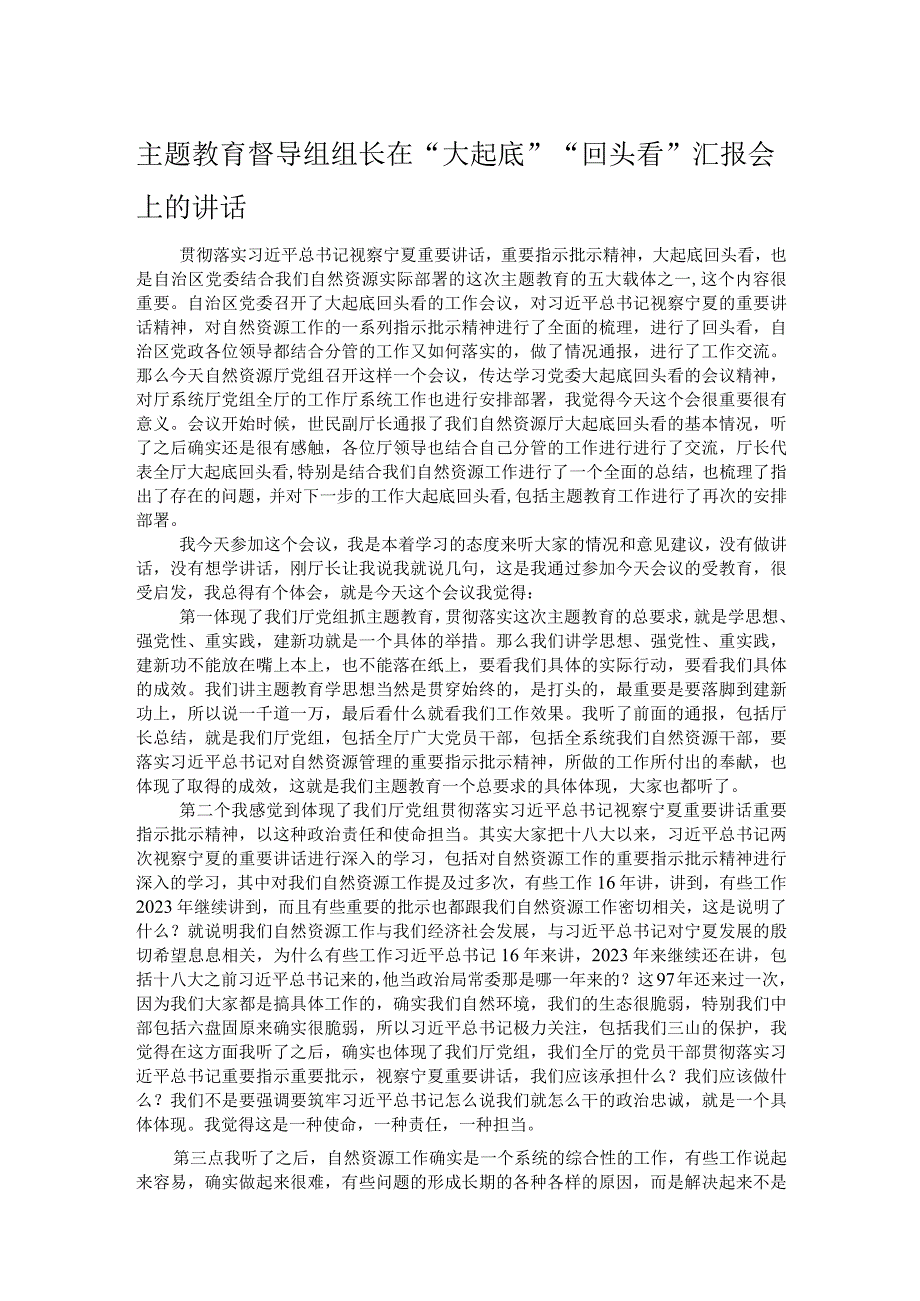 主题教育督导组组长在“大起底”“回头看”汇报会上的讲话.docx_第1页