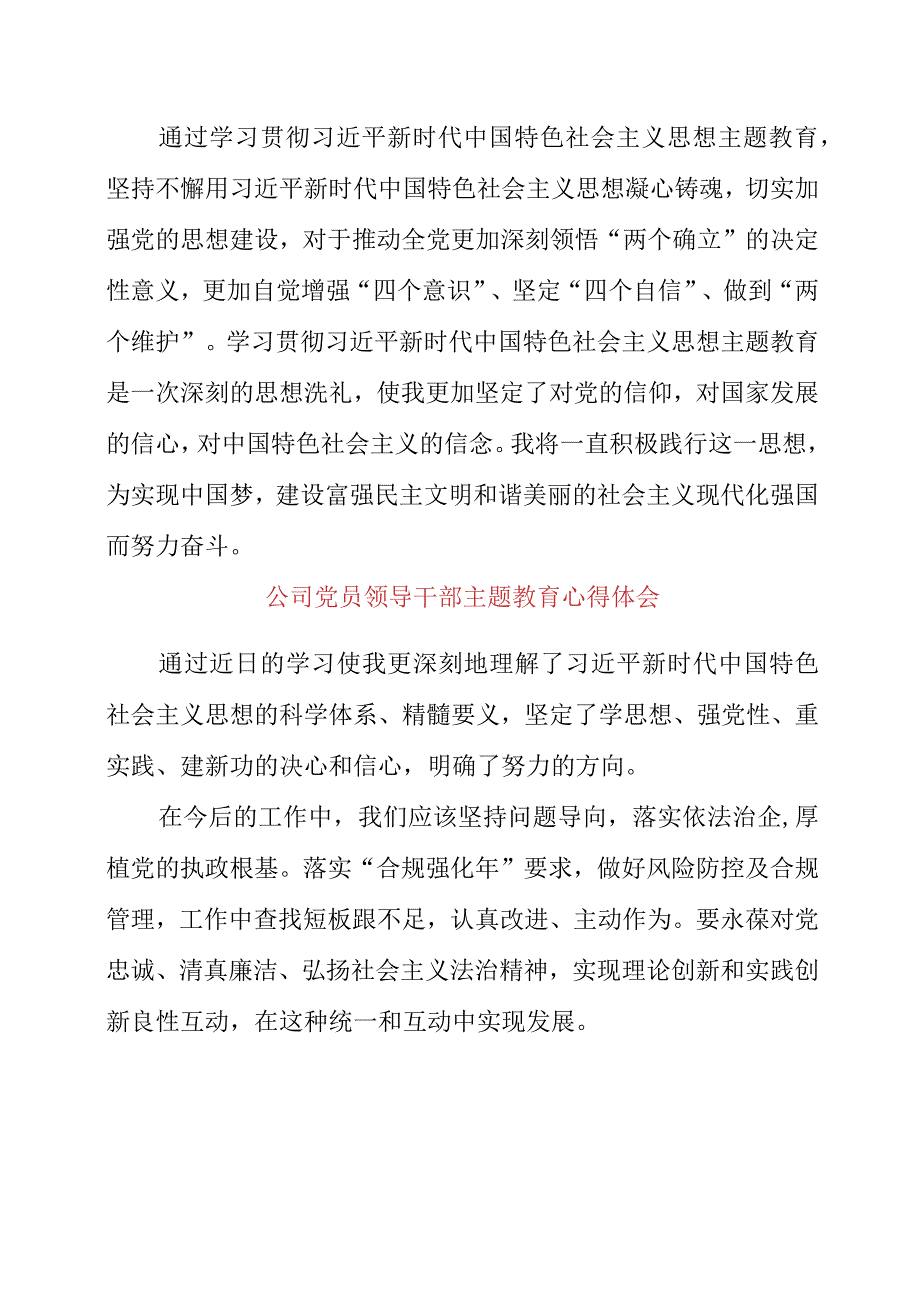 2023年公司党员领导干部主题教育心得体会.docx_第2页