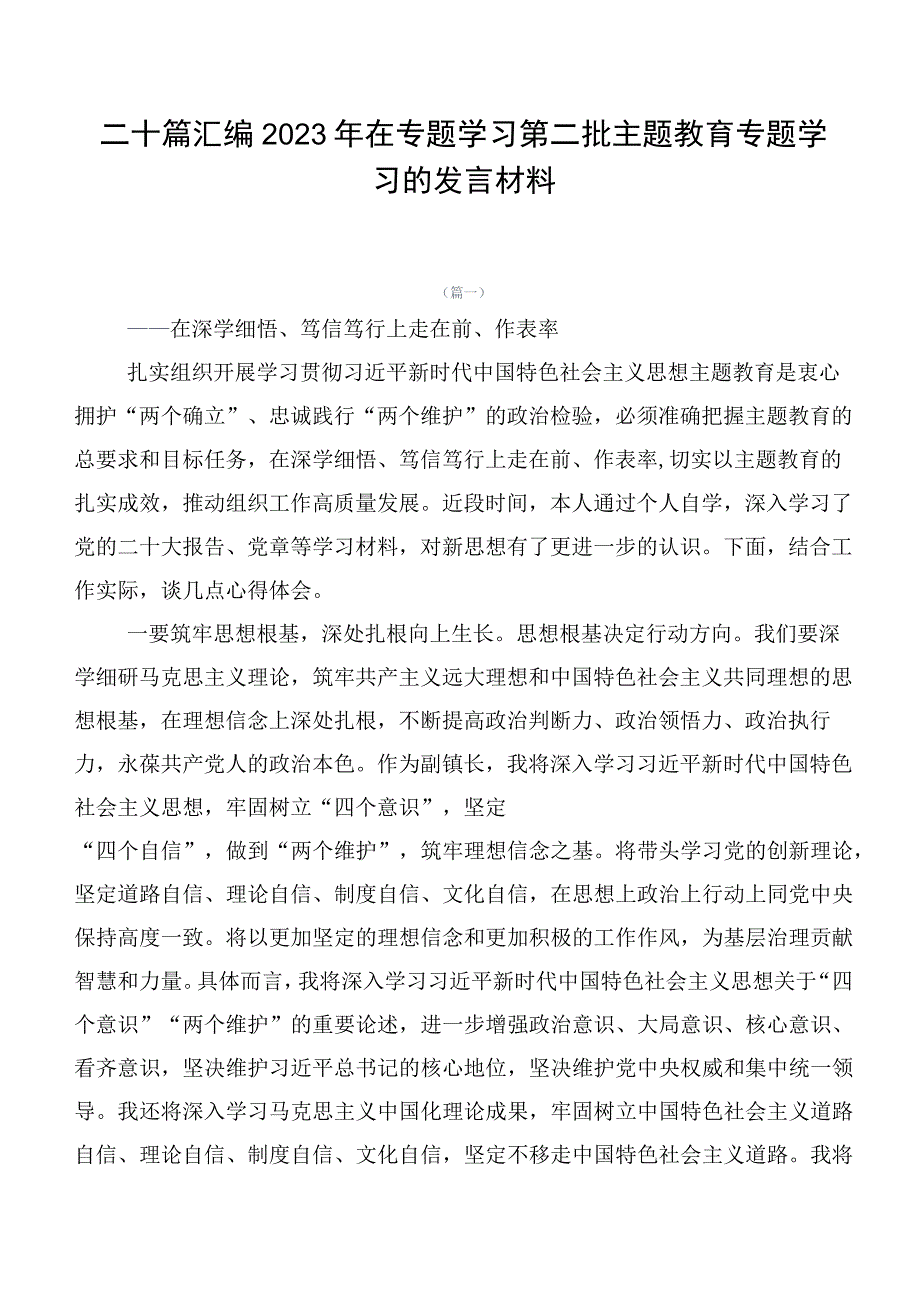 二十篇汇编2023年在专题学习第二批主题教育专题学习的发言材料.docx_第1页