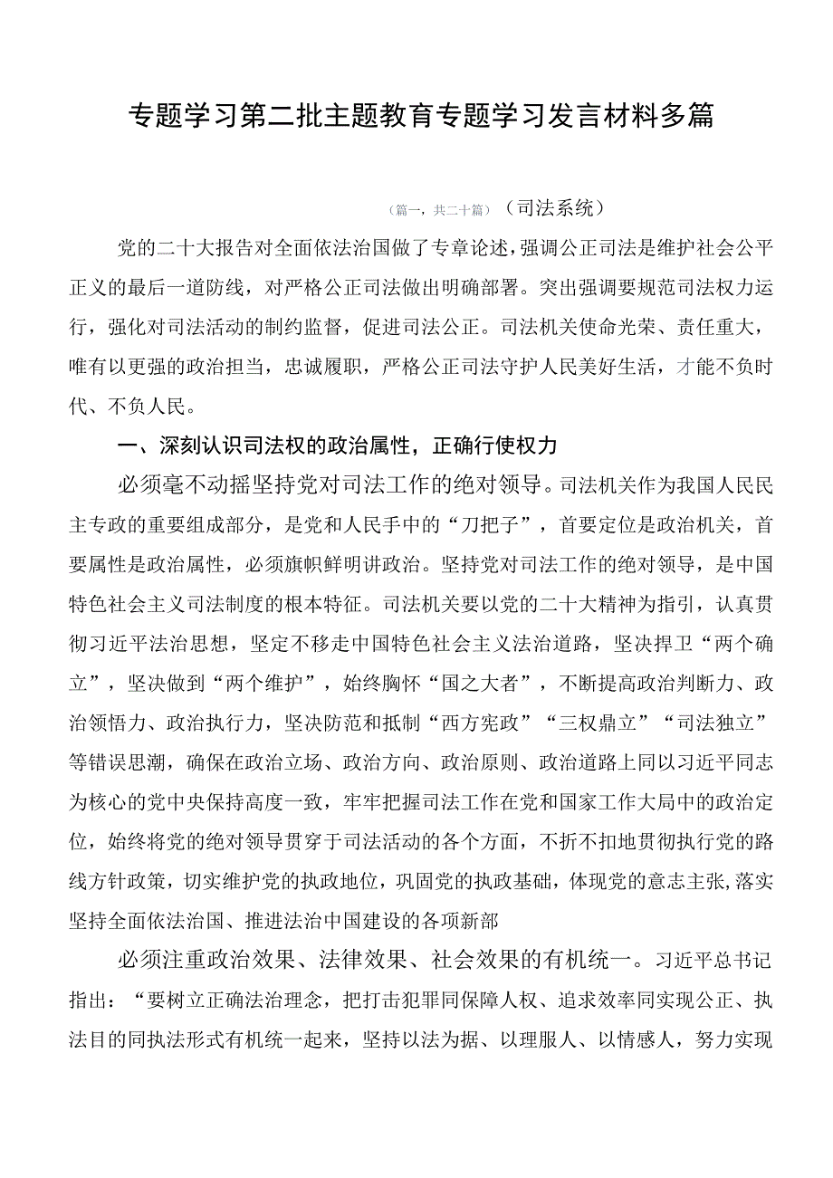 专题学习第二批主题教育专题学习发言材料多篇.docx_第1页