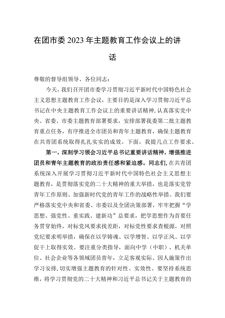 2023年在团市委2023年主题教育工作会议上的讲话.docx_第1页