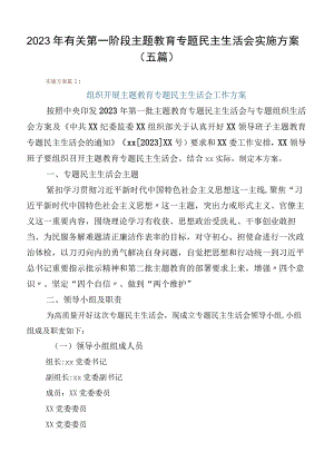 2023年有关第一阶段主题教育专题民主生活会实施方案（五篇）.docx