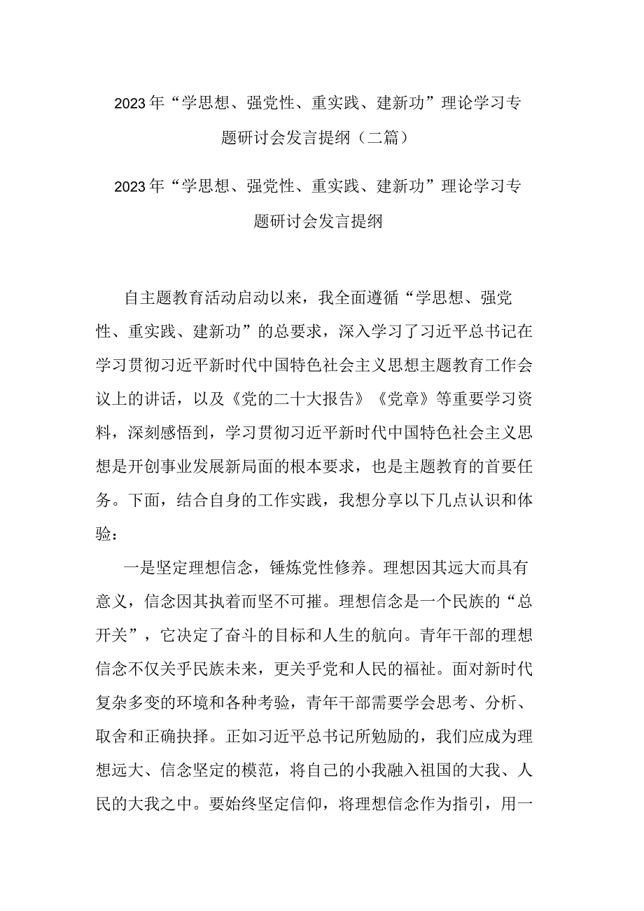 2023年“学思想、强党性、重实践、建新功”理论学习专题研讨会发言提纲(二篇).docx_第1页