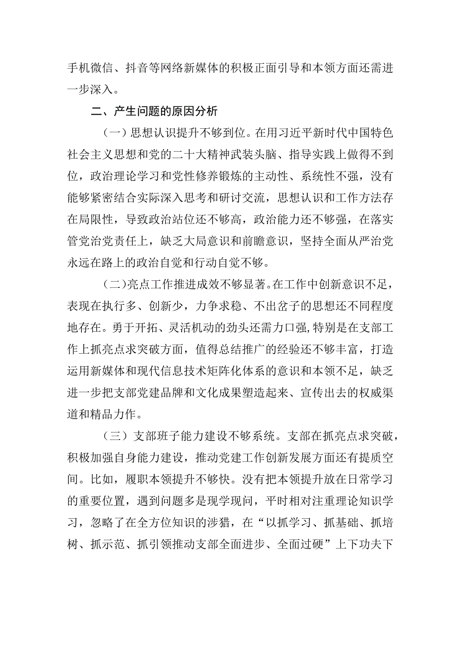 主题教育专题组织生活会问题清单.docx_第3页