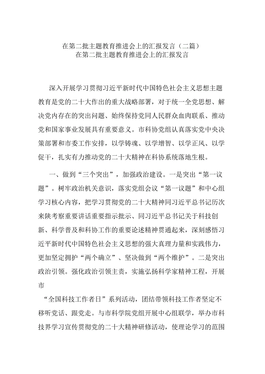 在第二批主题教育推进会上的汇报发言(二篇).docx_第1页