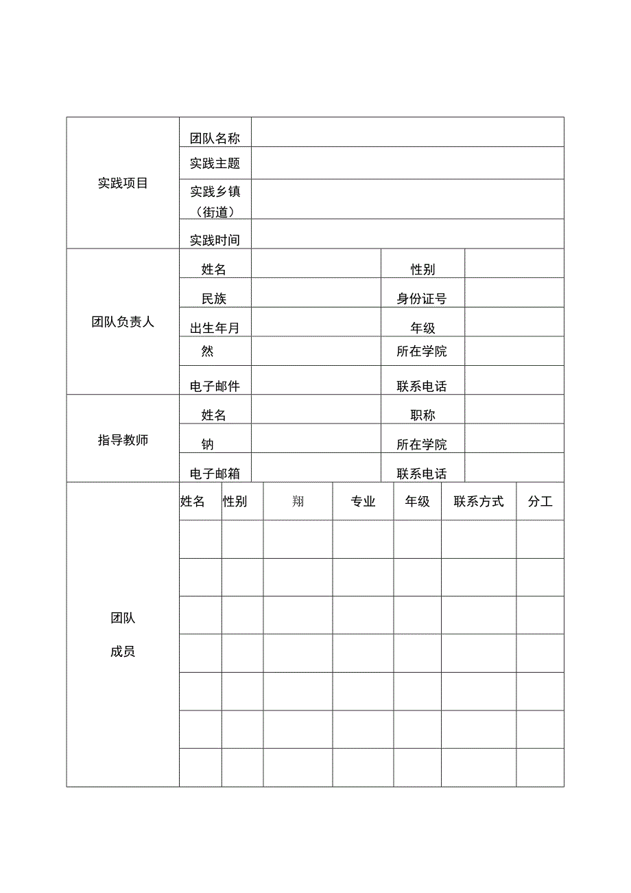 大学生社会实践专项行动团队申报表.docx_第2页