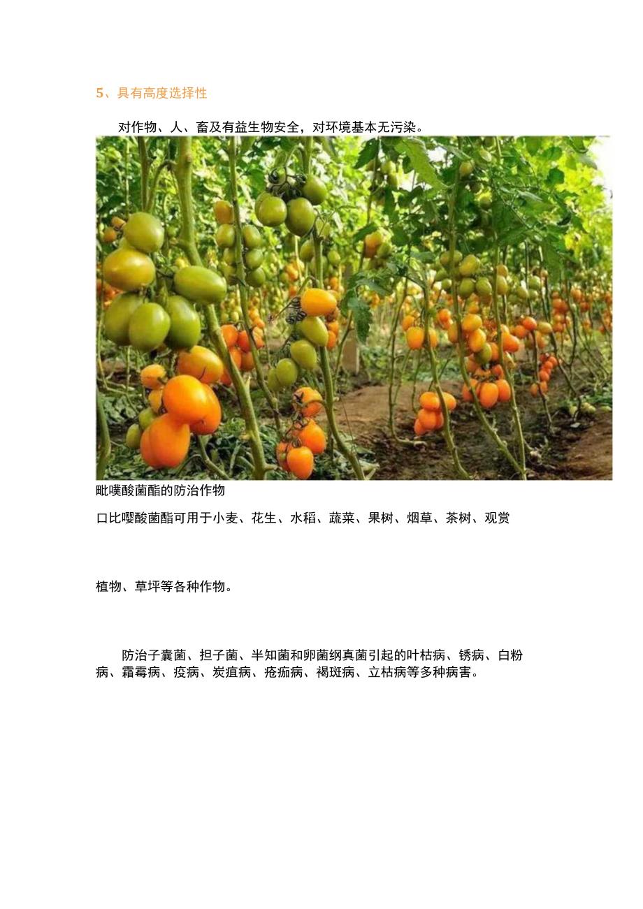 吡唑醚菌酯的使用问题.docx_第2页