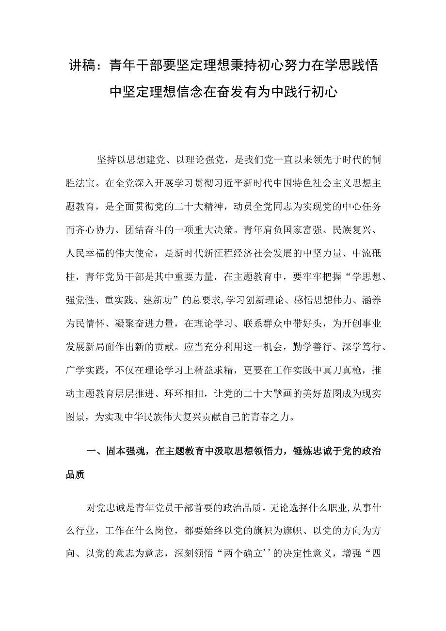 讲稿：青年干部要坚定理想秉持初心 努力在学思践悟中坚定理想信念 在奋发有为中践行初心.docx_第1页