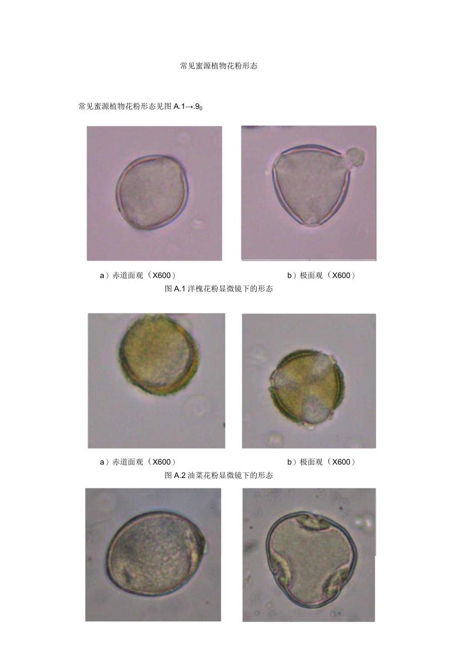 常见蜜源植物花粉形态.docx_第1页