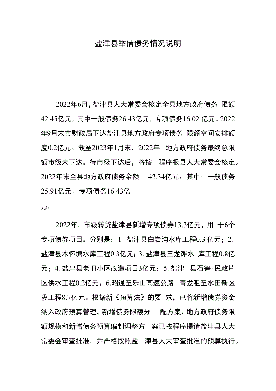 盐津县举借债务情况说明.docx_第1页