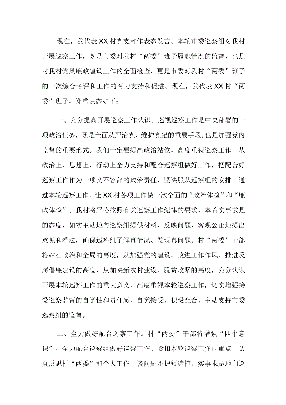 对巡察工作的表态发言六篇.docx_第3页