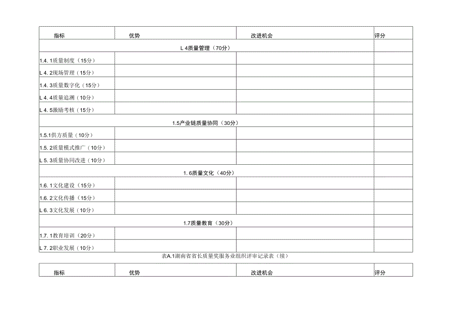 湖南省省长质量奖服务业组织评审记录表、成熟度列表.docx_第2页