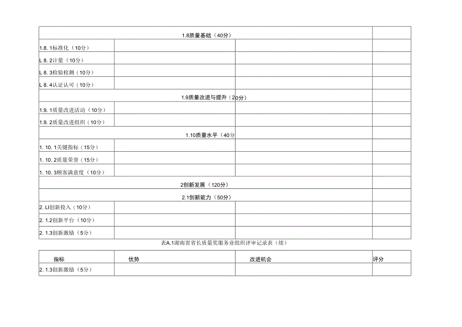 湖南省省长质量奖服务业组织评审记录表、成熟度列表.docx_第3页