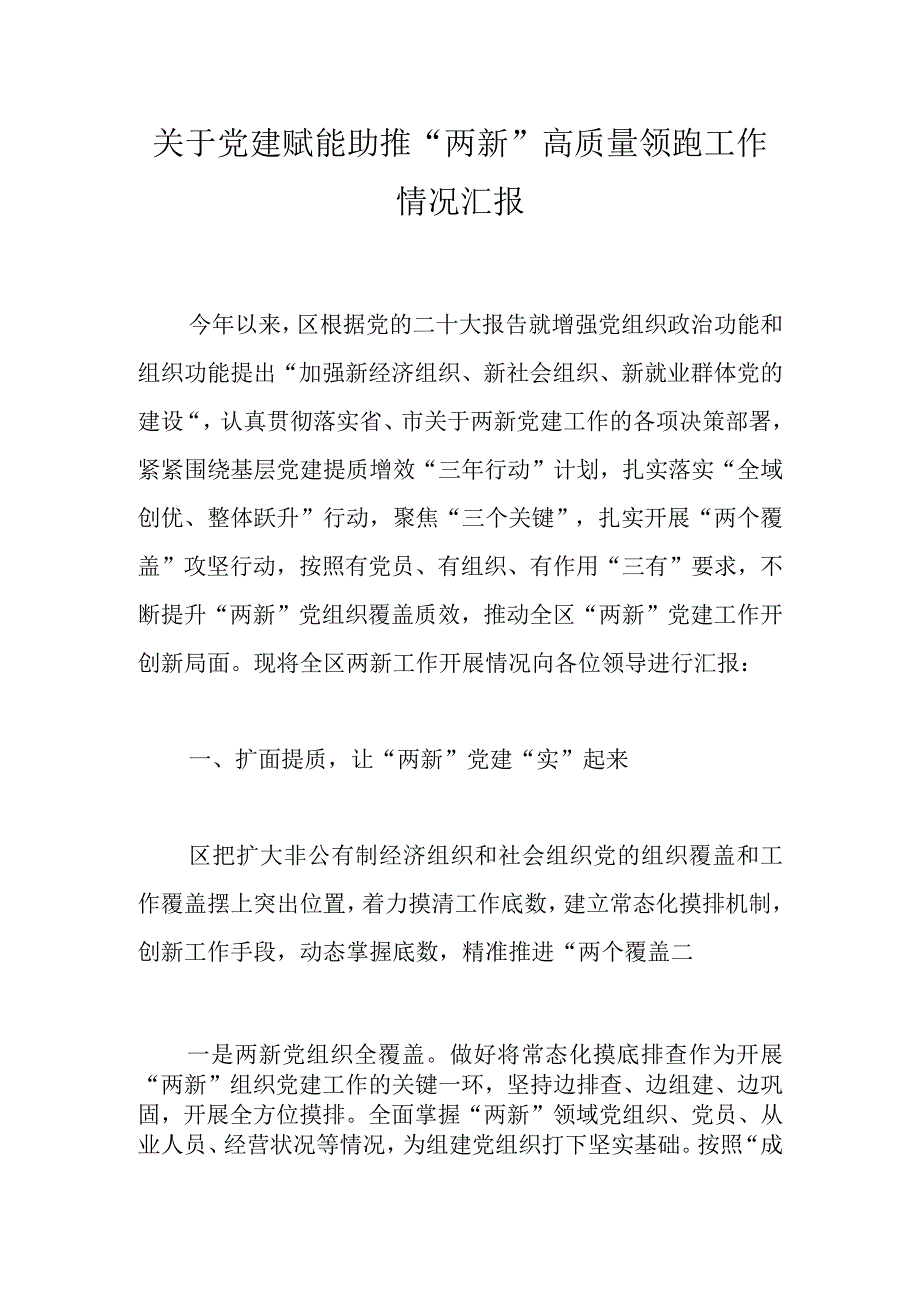 关于党建赋能助推“两新”高质量领跑工作情况汇报.docx_第1页