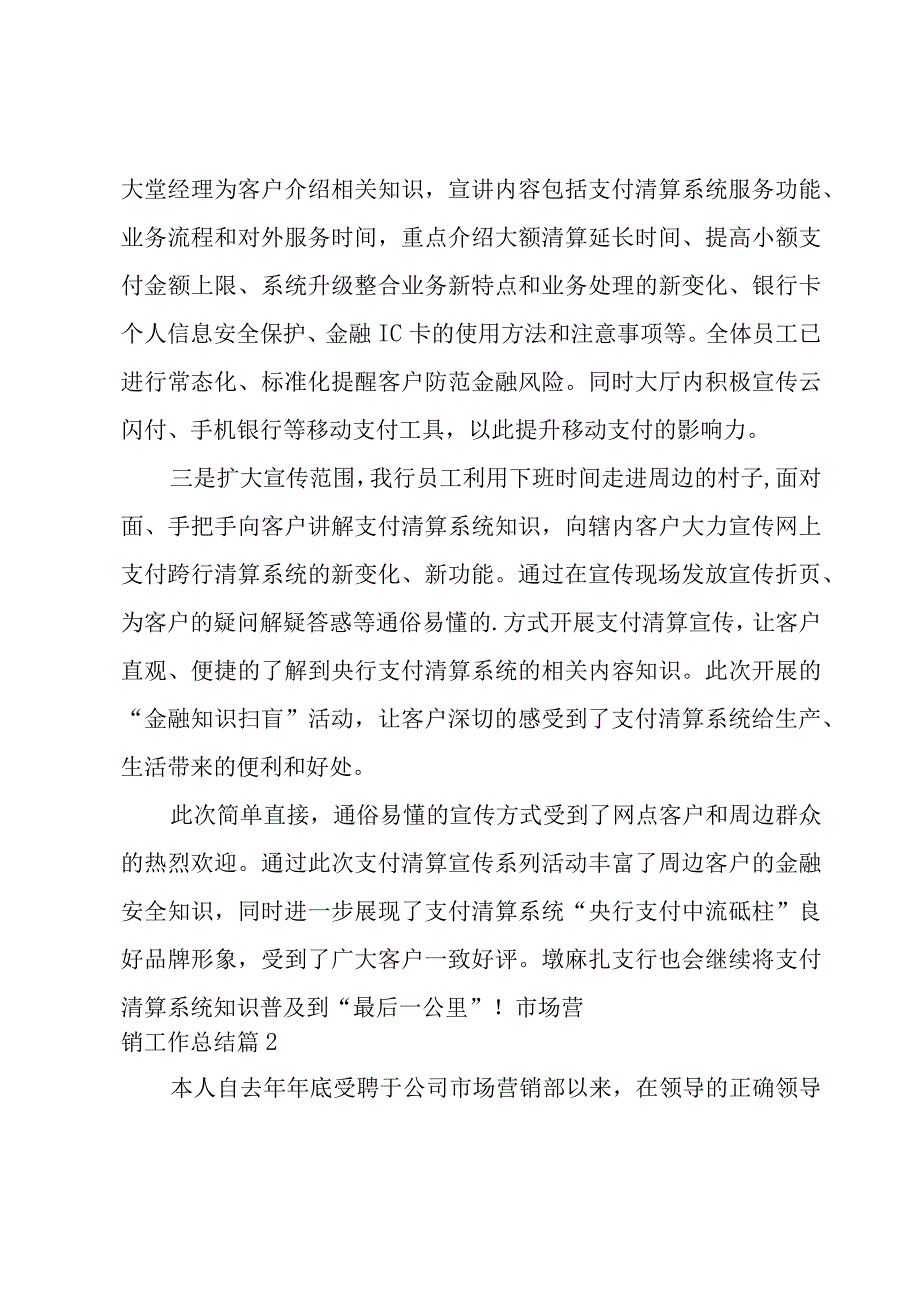 市场营销工作总结经典.docx_第2页