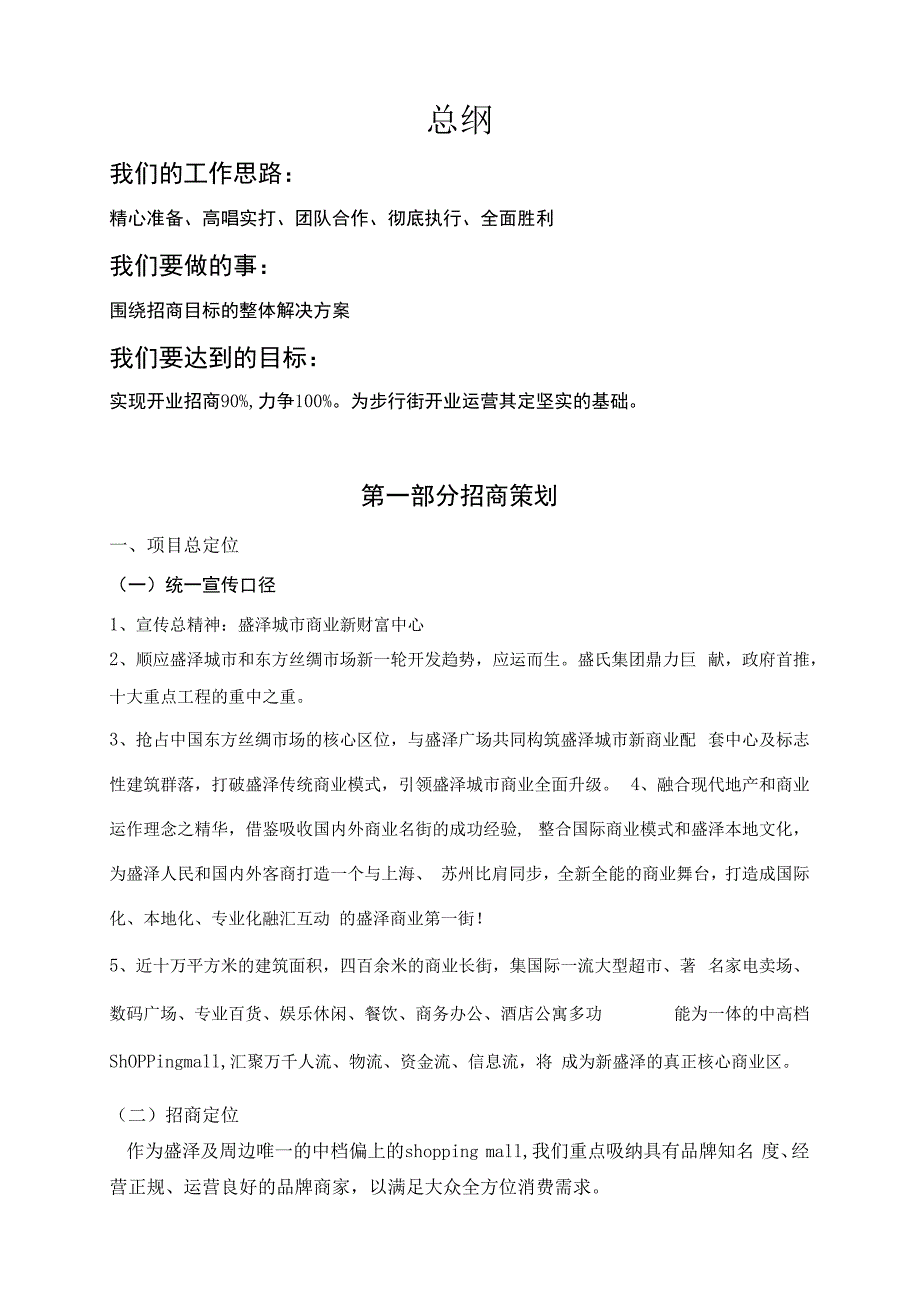 苏州盛泽.东盛步行街招商策划报告.docx_第3页