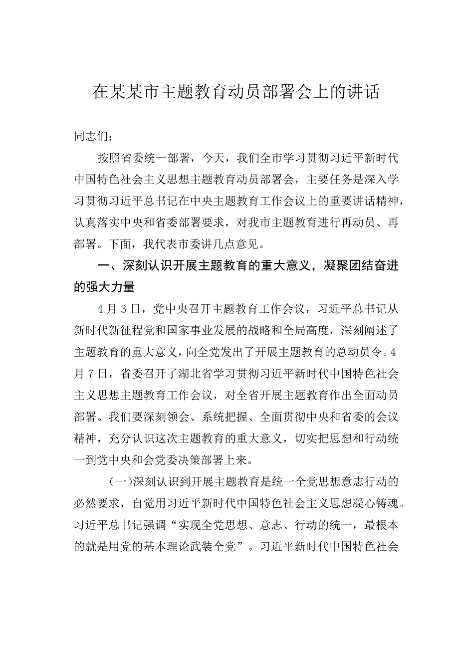 在某某市主题教育动员部署会上的讲话.docx_第1页