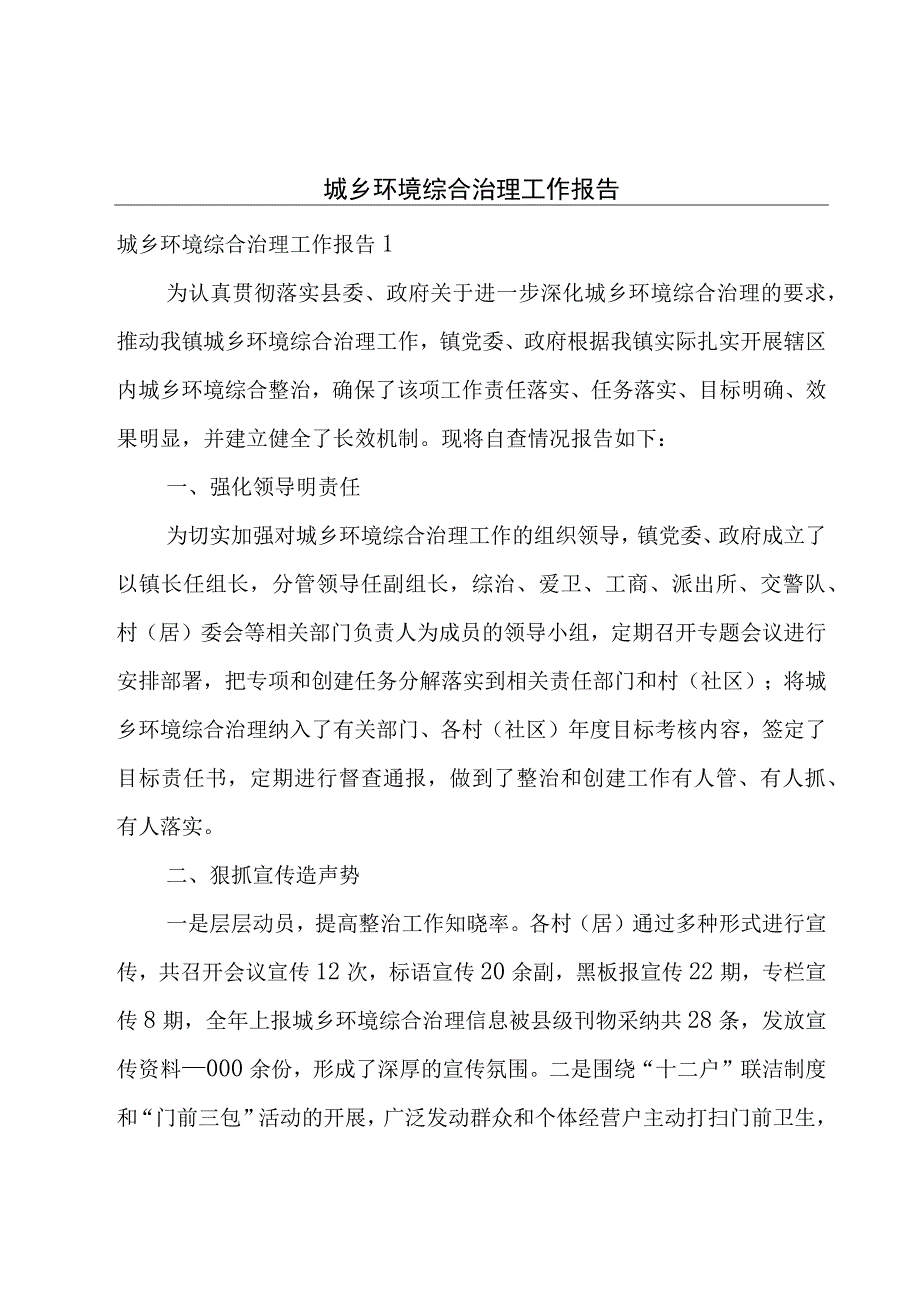 城乡环境综合治理工作报告.docx_第1页