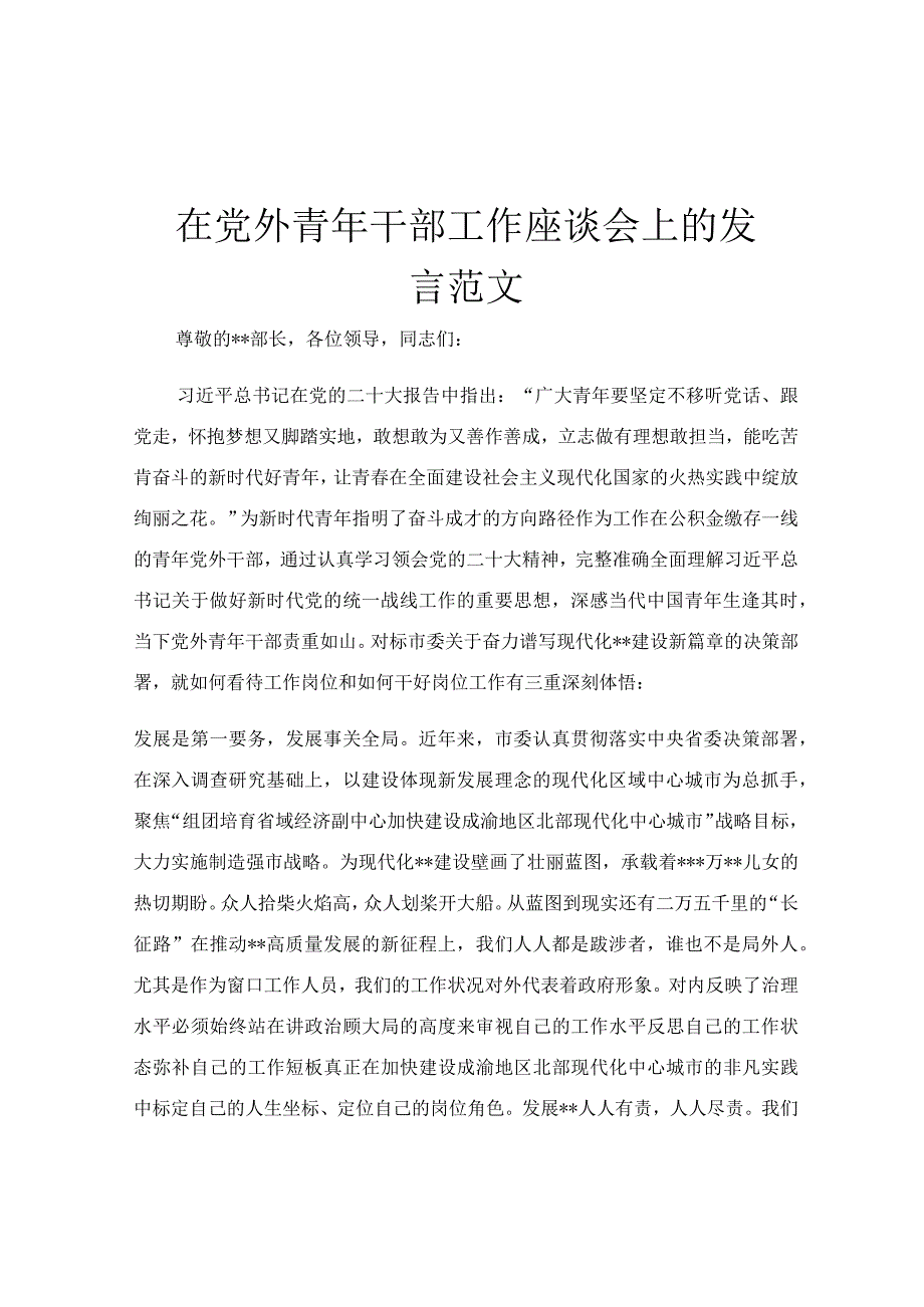 在党外青年干部工作座谈会上的发言范文.docx_第1页