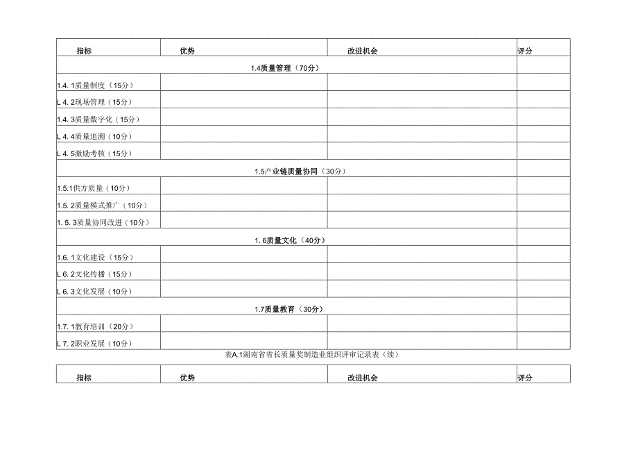 湖南省省长质量奖制造业组织评审记录表、成熟度列表.docx_第2页