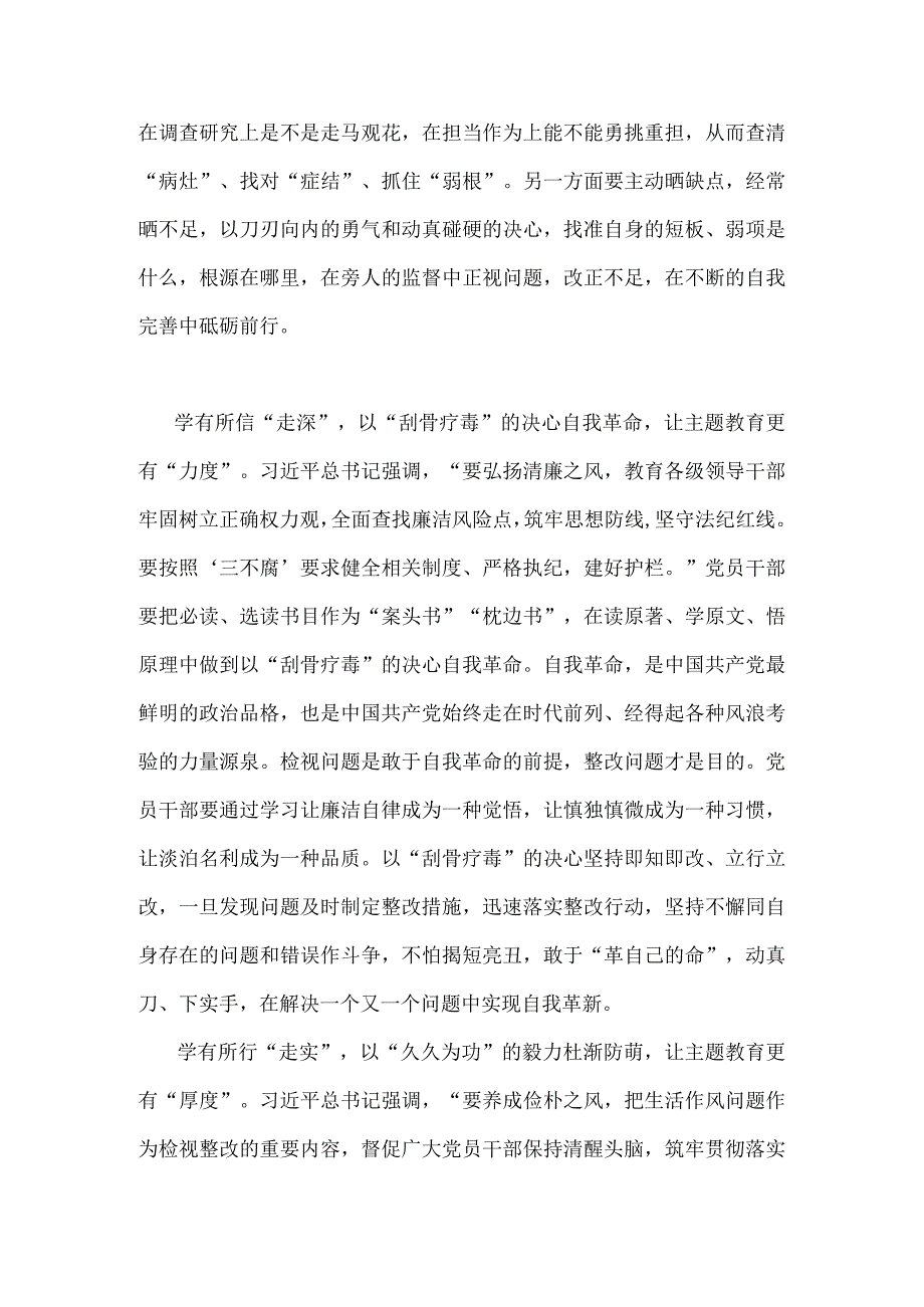 2023年主题教育“以学正风”专题研讨材料与主题教育六个方面检视问题清单及整改措施【两篇文】.docx_第2页