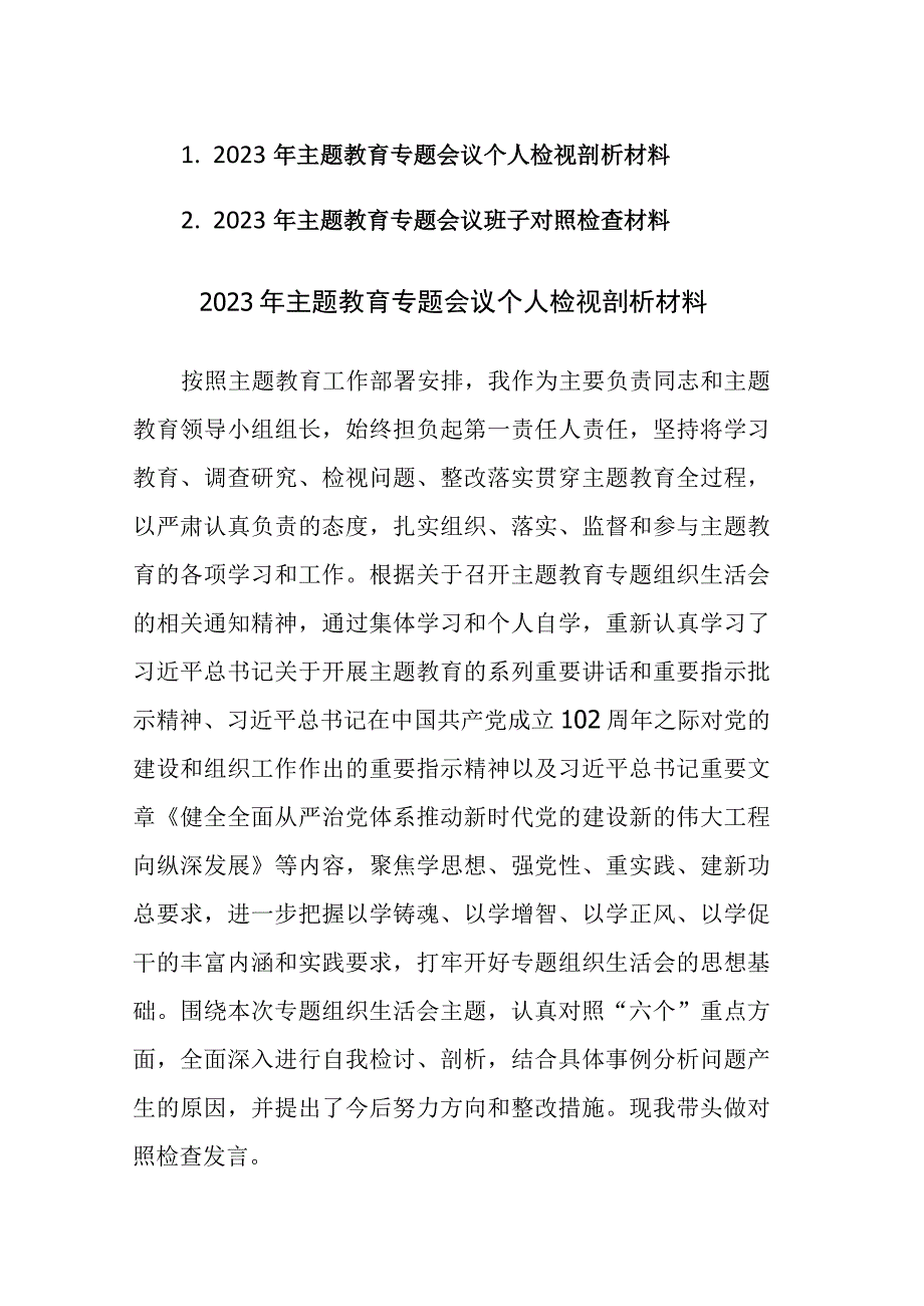 2023年主题教育专题会议个人（班子）检视剖析材料参考范文2篇.docx_第1页