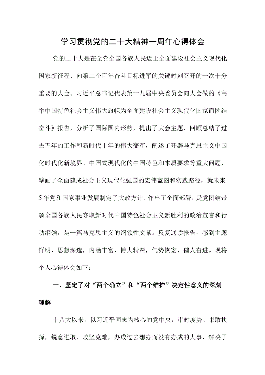 2023年青年学者学习贯彻《党的二十大精神》一周年个人心得体会（汇编4份） (3).docx_第1页