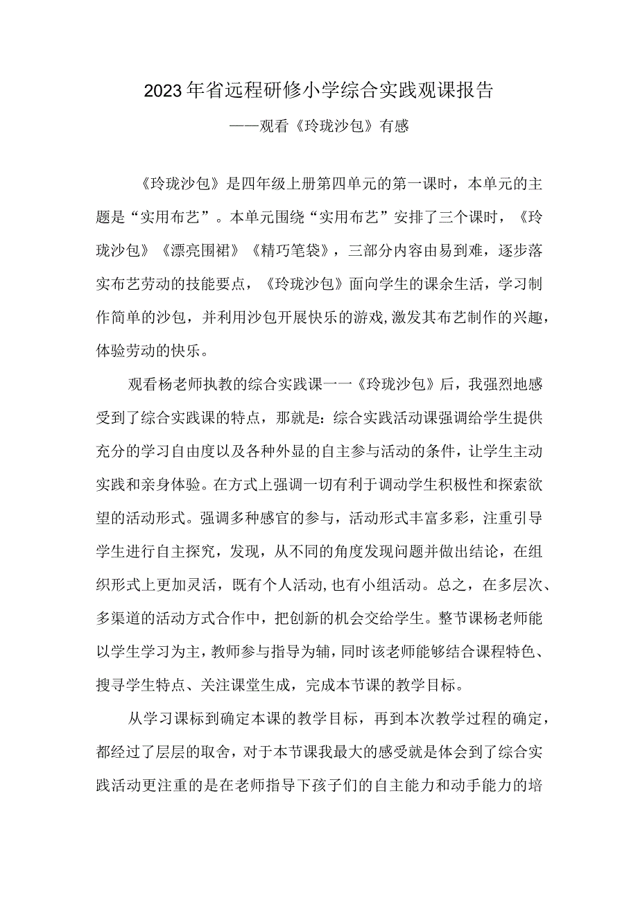 2023年省远程研修小学综合实践观课报告《玲珑沙包》.docx_第1页