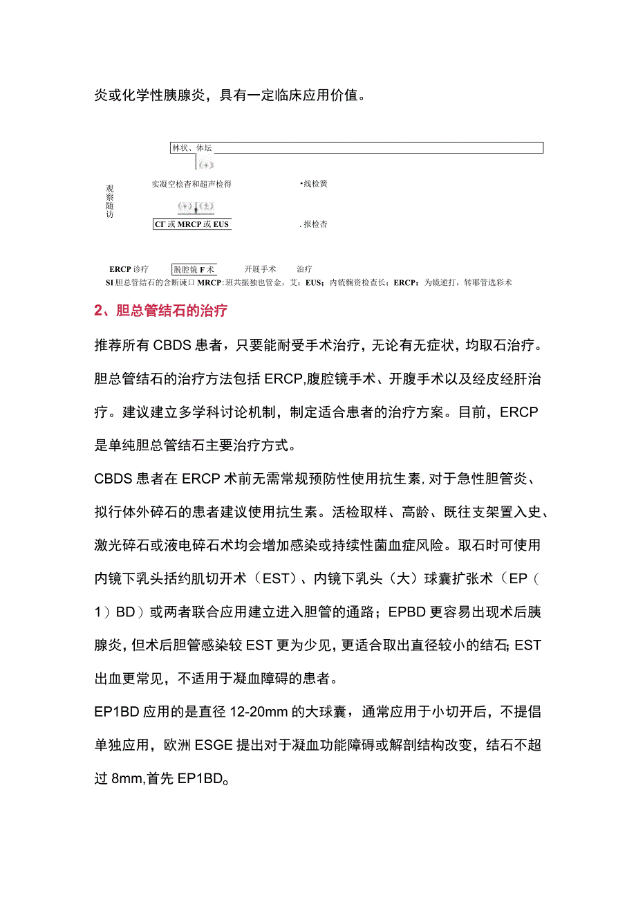 2023胆总管结石的诊治.docx_第2页