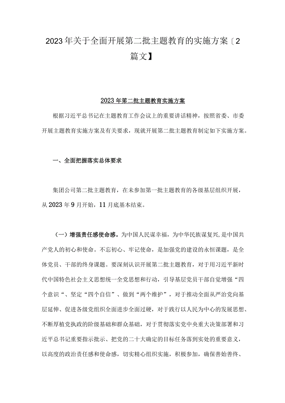 2023年关于全面开展第二批主题教育的实施方案【2篇文】.docx_第1页