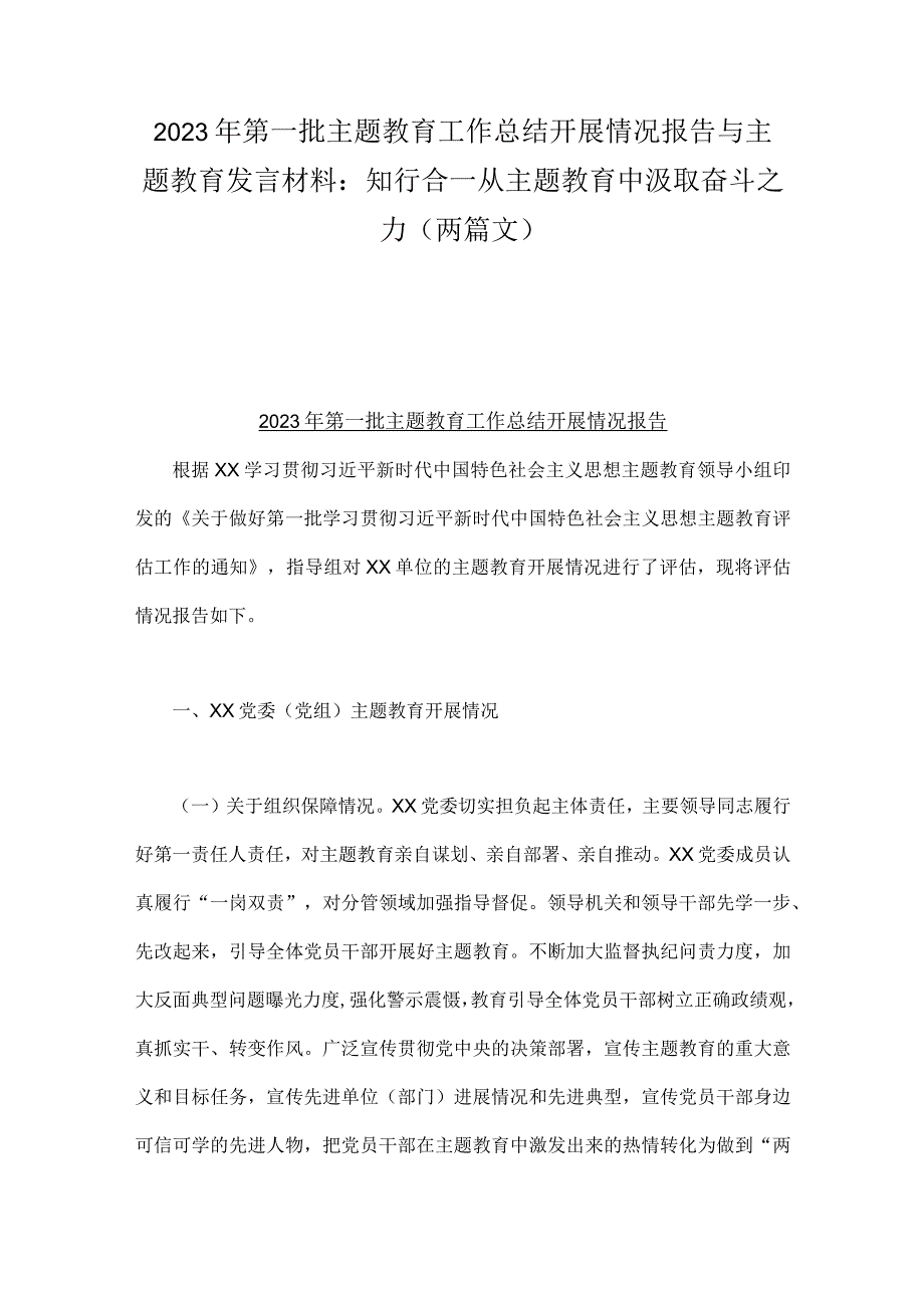 2023年第一批主题教育工作总结开展情况报告与主题教育发言材料：知行合一从主题教育中汲取奋斗之力（两篇文）.docx_第1页