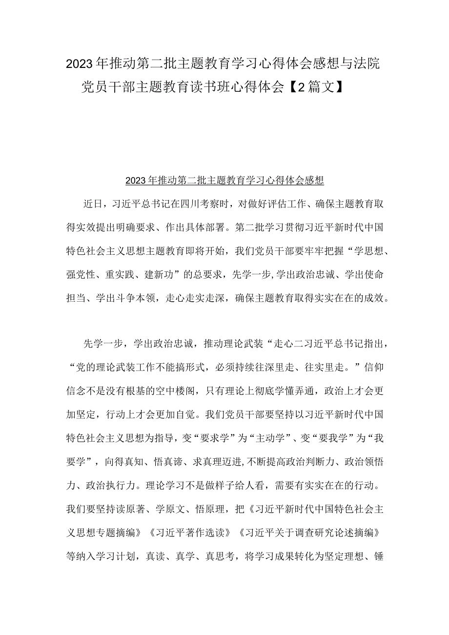 2023年推动第二批主题教育学习心得体会感想与法院党员干部主题教育读书班心得体会【2篇文】.docx_第1页