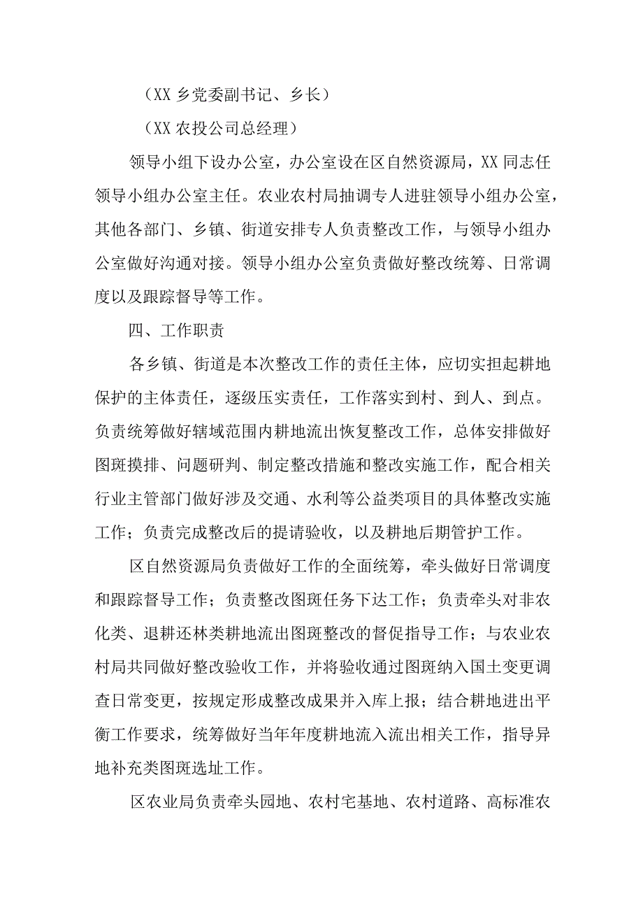 XX区流出耕地恢复整改专项工作方案.docx_第3页