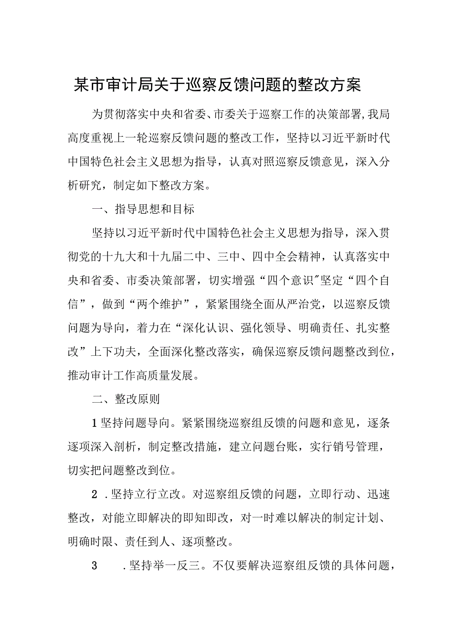 2023年某市审计局关于巡察反馈问题的整改方案.docx_第1页