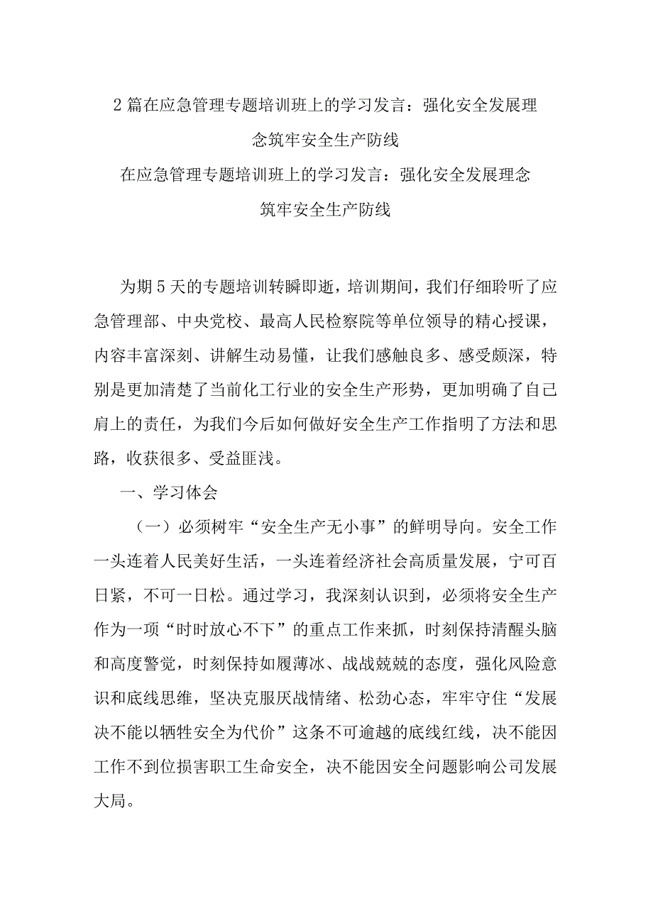 2篇在应急管理专题培训班上的学习发言：强化安全发展理念 筑牢安全生产防线.docx_第1页