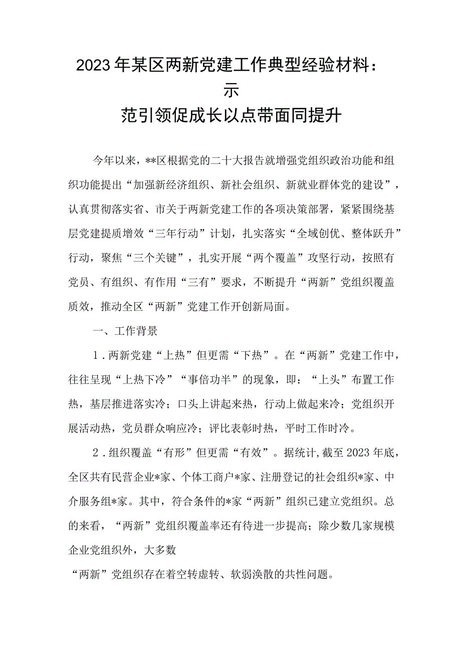 2023年某县区两新党建工作典型经验交流材料和推进两新党建提升工作报告.docx_第2页