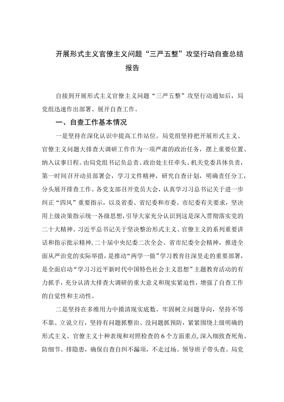 2023开展形式主义官僚主义问题“三严五整”攻坚行动自查总结报告精选10篇.docx_第1页