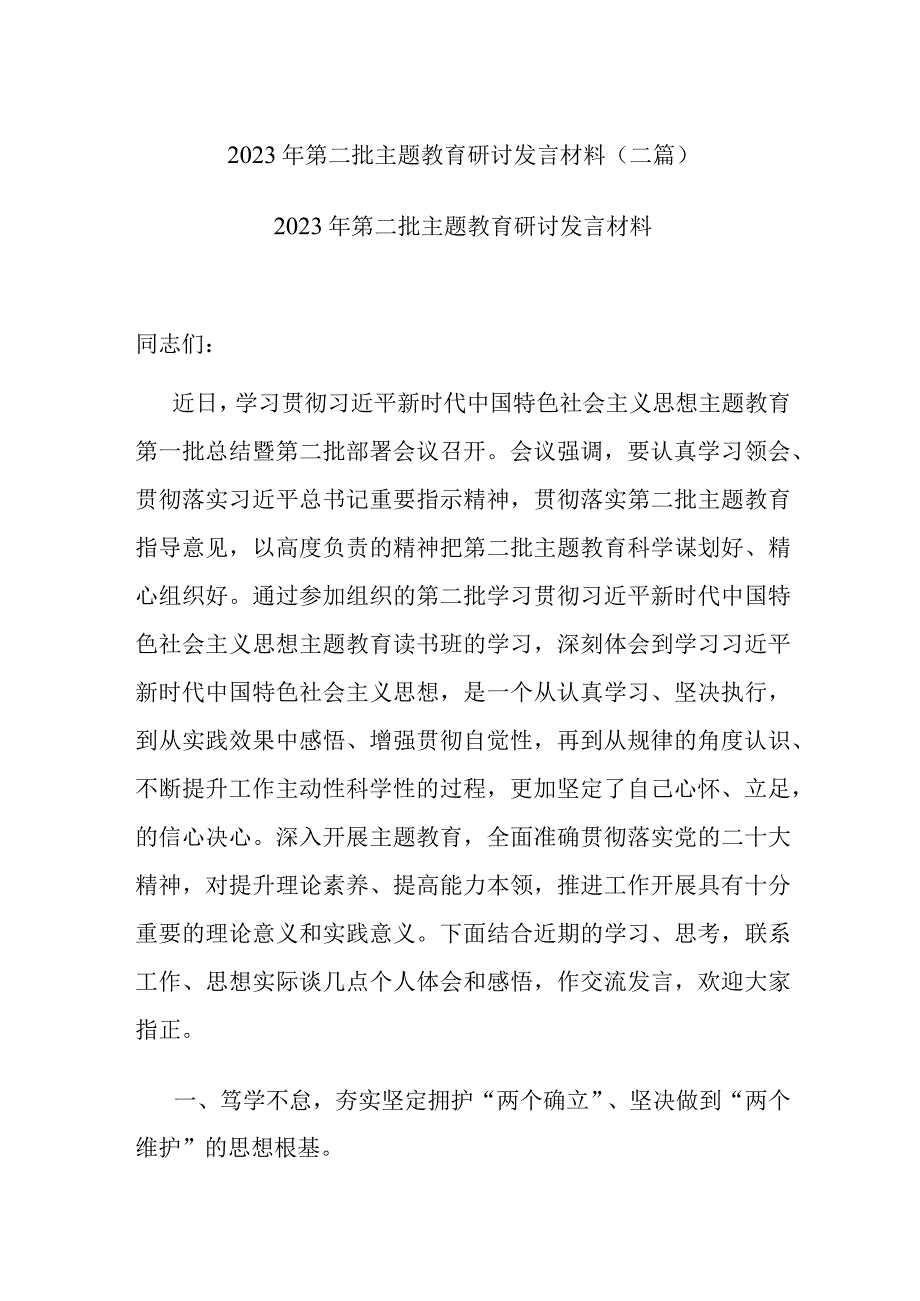 2023年第二批主题教育研讨发言材料(二篇).docx_第1页