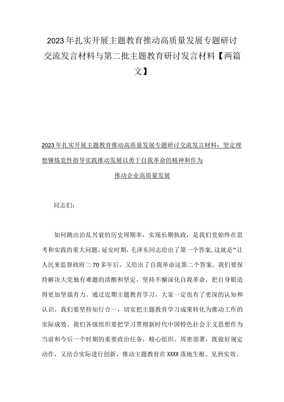 2023年扎实开展主题教育推动高质量发展专题研讨交流发言材料与第二批主题教育研讨发言材料【两篇文】.docx_第1页